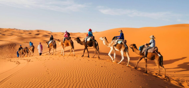 Private Tour Morocco: A Personalized Way to Explore a Beautiful Country Private Tour Morocco: A Personalized Way to Explore a Beautiful Country